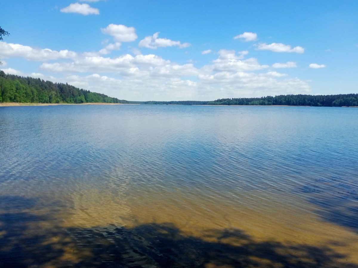 Jezioro Sajno koło Augustowa