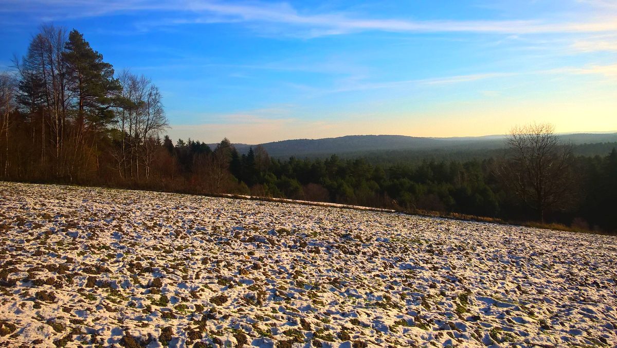 Widok z polany na Bukowej Górze