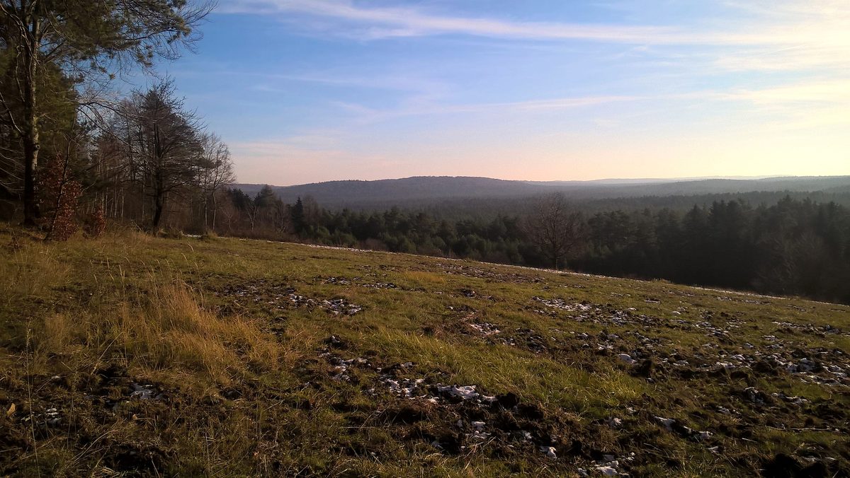 Polana na Bukowej Górze